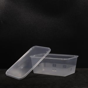 750ml Rectangular Disposable PP Plastic Sandwich Lunch Box