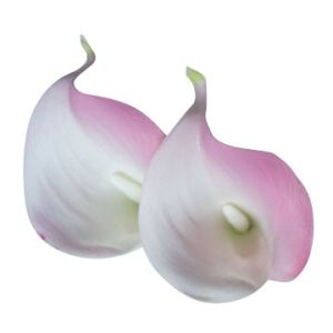 Quality Mini calla real touch flower, soft and elasticity for sale