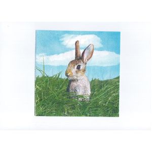 OEM 18gsm Bunny Rabbit Printed Paper Napkin For Wedding