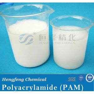 premium pam water treatment Cationic Polyacrylamide Price in China Supply