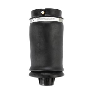 1643200825 ML-Class Rear Air Suspension Spring W164