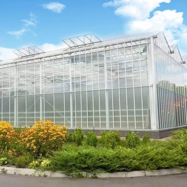 Buy Eco-Friendly Multi Span Glass Greenhouse Customization and Estimated Delivery Time at wholesale prices