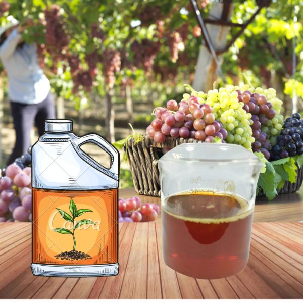 Liquid Amino Acid Foliar Fertilizer Peptides Chelate ZnMnBMo 550g/L For Agricultural Farm