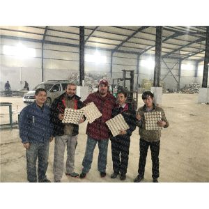 Molded Pulp Egg Tray Machine Big Capacity Fully Automatic Rotary Type