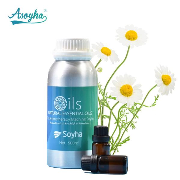Buy High Purity Plant Essential Oil For Aroma Fragrance Diffuser Machine at wholesale prices