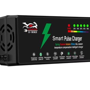 Customized 48V 12ah 48v 20ah 72v 20ah Lead Acid Battery Charger for Scooter