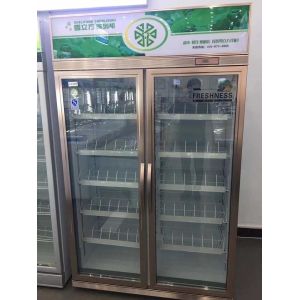 Double Door Upright Glass Door Display Freezer 2 To 8 Degree