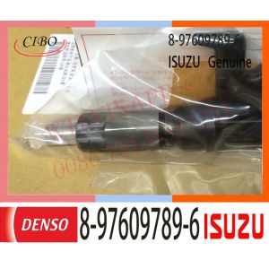 8-97609789-6 ISUZU Fuel Injector 8976097890 For Engine 4HK1 6HK1 095000-6376