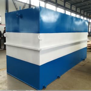 Compact Aeration System For Wastewater Treatment Plant 500L/Hour