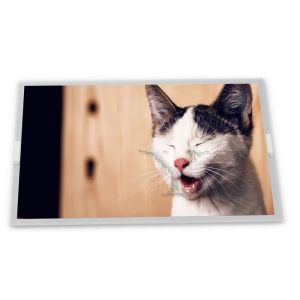 China 15.6 Inches LQ156T1JW03  LCD Display Panel 2560*1440 Resolution LCD Screen Module on sale