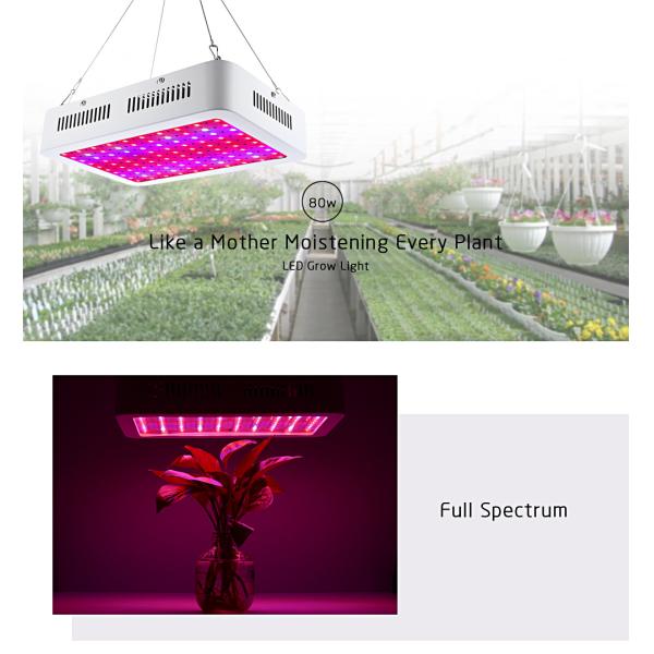 80W 5950LM Indoor LED Grow Lamp 100 degree Beam Angle With Hanging Hook Steel String