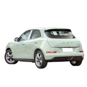 hot-selling 2022 Euler the good cat new energy car Pure electric 143 horsepower