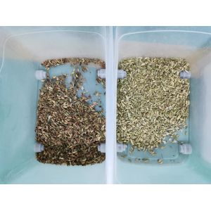 Wenyao 3 Chute Intelligent CCD Camera Cardamom Color Sorter Machine