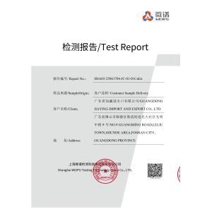 GUANGDONG CHUANGSHIJI SILICONE CO.,LTD. Certifications