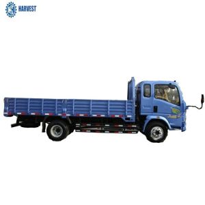 5 Ton Heavy Cargo Truck