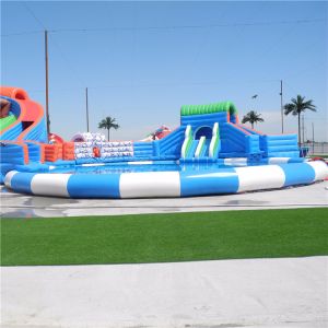 Dinosaur Theme Inflatable Amusement Equipment Park Auatic Dual Kds Pools