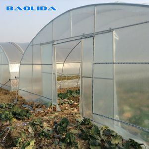 High Tunnel Vegetables Planting Single Span Vegetable Tunnel Plastic Film