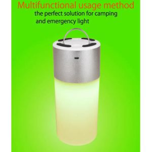 USB Chargeable bluetooth control portable smart led light