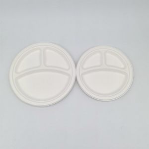 Divided Paper Biodegradable Disposable Plates 2-Compartment 3-Compartment