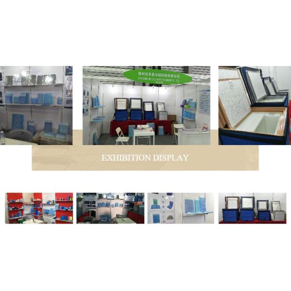 Custom HDPE Plastic Material FDA Ice Packs For Children ' S Lunch Boxes / Bags