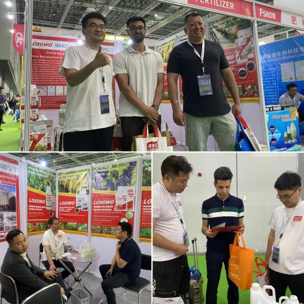 Humic Acid Chemical Seaweed Extract Fertilizer Enriches Crop Yield