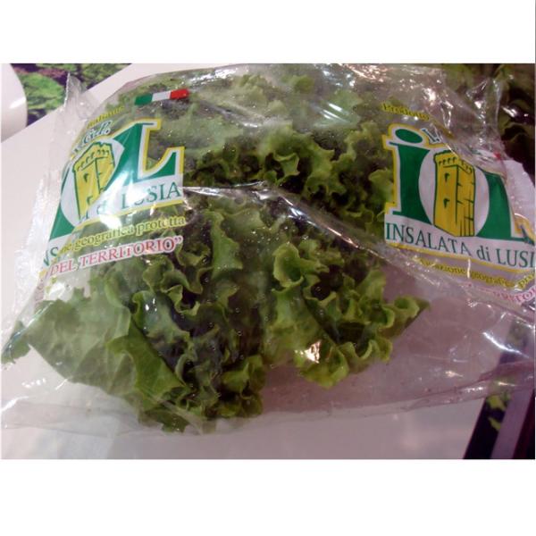 Buy Vegetable Salad OPP Packaging Bag Biodegradable Printed Self Adhesive at wholesale prices