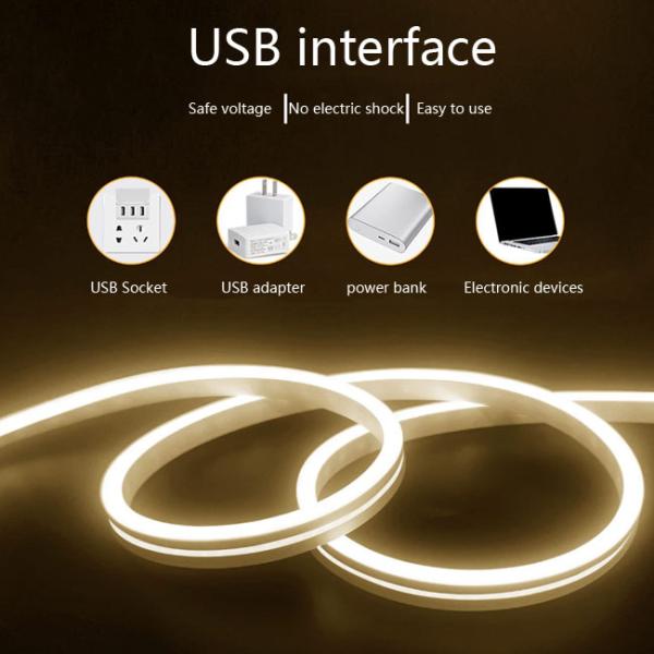 Single Color Warm White Silicone Neon Light Strip Set 5v 120 Lights/1m Dimming