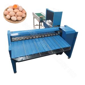 China Automatic Egg Sorter Egg Sorting Grading Machine Portable Egg Sorting Machine on sale China Automatic Egg Sorter Egg Sorting Grading Machine Portable Egg Sorting Machine on sale