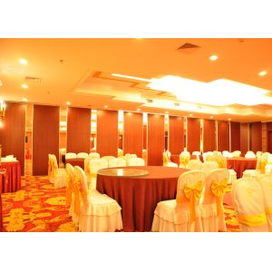 Quality Movable Partition Walls , Operable Wall For Banquet Wedding Facility for sale