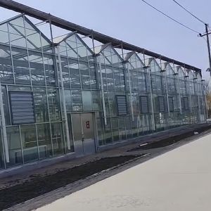 Large and Venlo Style Glass Agricultural Greenhouse with Automatic Control