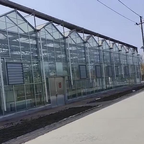 Large and Venlo Style Glass Agricultural Greenhouse with Automatic Control