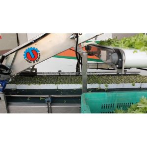 Harvesting Aquaponics Microgreens Agricultural Equipment for Enhanced Crop