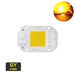 Cool White RGB LED Module 30W 220V LED COB Chip Color Temperature 6500K
