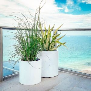 Get the Best Deals on Durable and Stylish Fiberglass Flower Pots for Your Garden