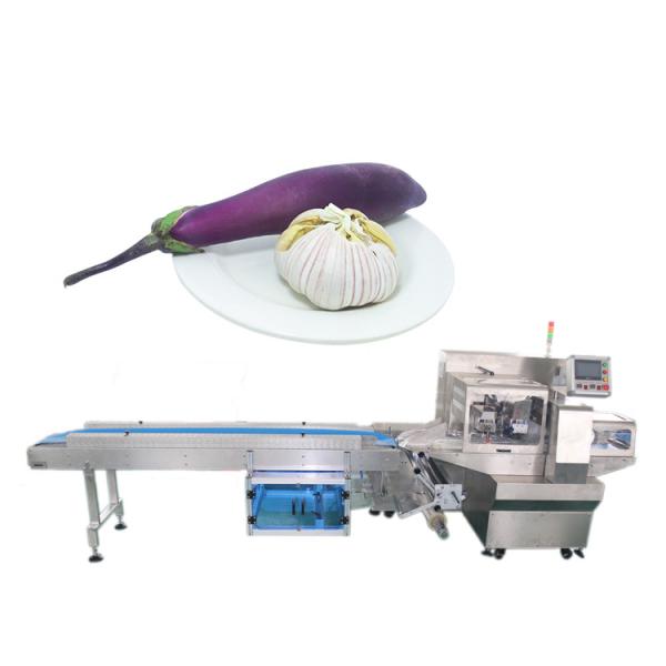 Buy 50HZ Pillow Eggplant Vegetable Packing Machine at wholesale prices
