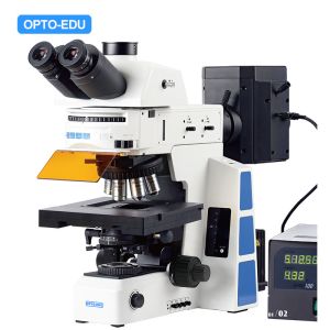 China M16.5850 Fluorescent Motorised Microscope Bf 2d Xyz on sale