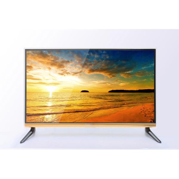 Buy 557GI-03LF at wholesale prices