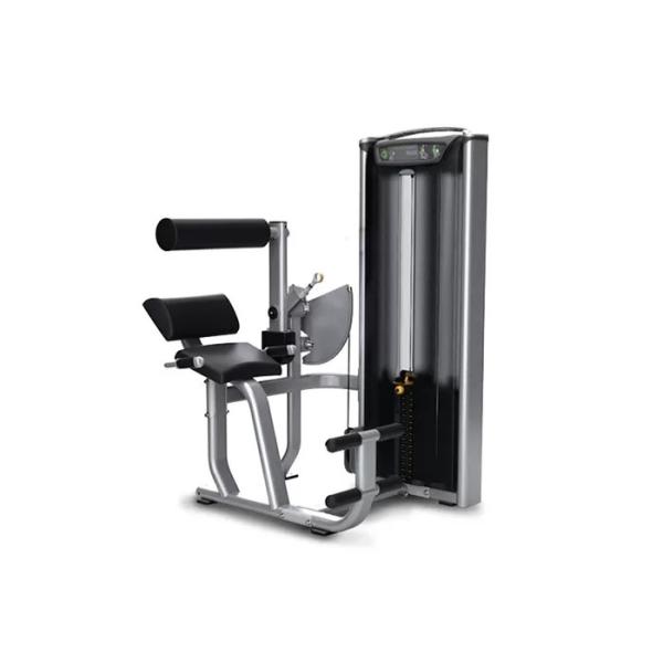 Buy Professional Matrix Exercise Equipment Seated Back Extension Machine at wholesale prices
