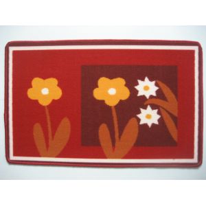 Absorbent door mats