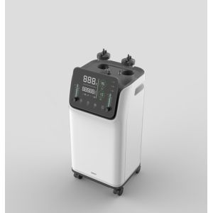 CE Certificated 10 Liter Oxygen Concentrator With Purity 96%