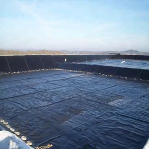Long-Lasting Anti-UV Geomembrane Pond Liner Fish Farm Black Film For Dam