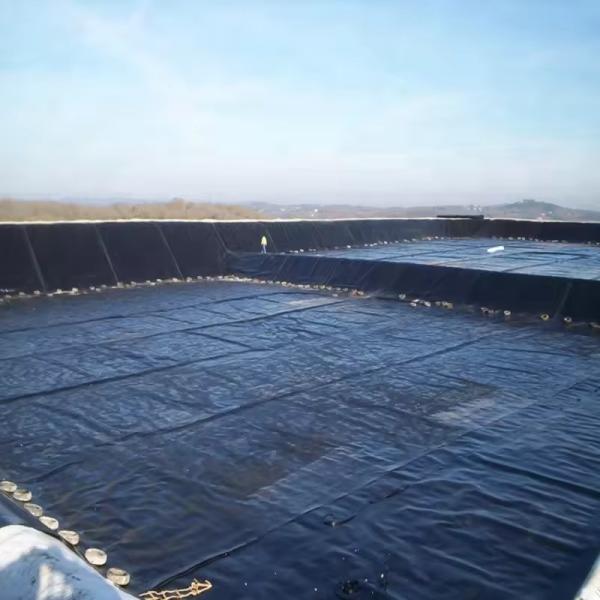 High Strength HDPE Geomembrane With Long Service Life For Wastewater Treatment