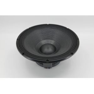 18 Inch 600W RMS Bass Loudspeaker 98dB Church Audio Equipment