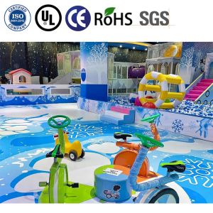 Customized High Capacity Indoor Playground with Safety Materials and Easy