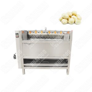 Potatoes Onion Apple Orange Picking Grading Sorting Pumpkin Seed Hulling Shell