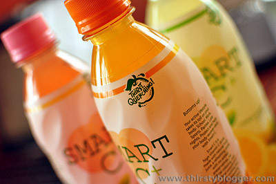 Automatic 3 In 1 Hot Filling Machine , Blueberry Juice Making Machine For Glass Bottle