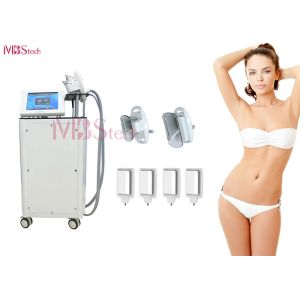 Quality 2 In 1 Cryolipolysis Slimming Machine for sale
