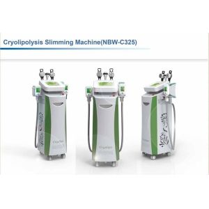 Quality Cryolipolysis Slimming Machine NBW-C325 for sale