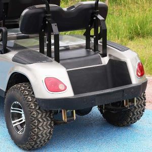 ODM Mini Road Legal Golf Cart Bus 2 Passenger 60V New Energy Vehicle With