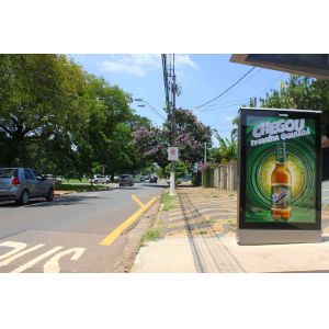 Chinese Factory 55 Inch Outdoor Digital Signage LG Waterproof Sunlight Viewable